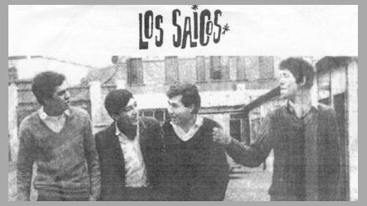 Los Saicos